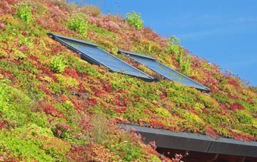 Garlinge living roof systems