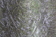 Garlinge fibreglass roof work